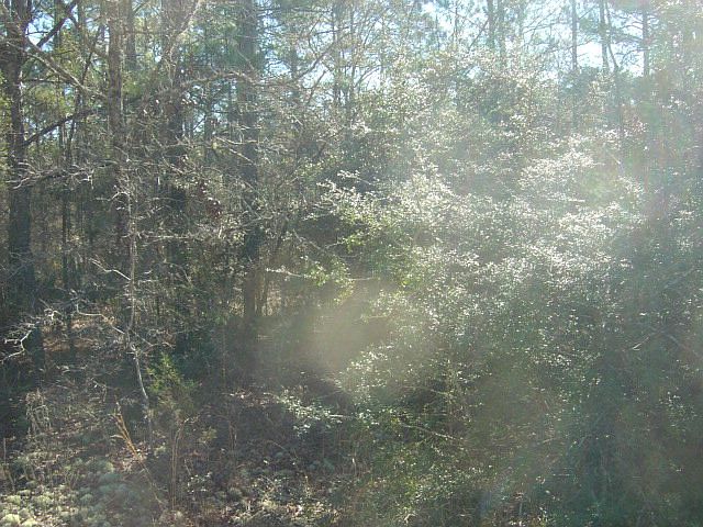 2nd image of Dixie Dr