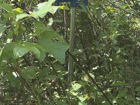 4th image of 1071 Big Hollow Rd