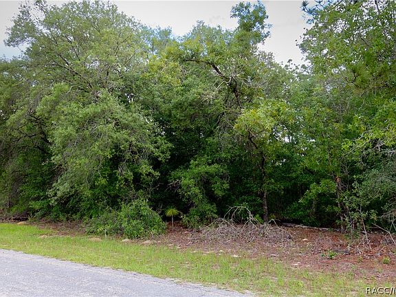 4th image of 8591 N Vince Dr