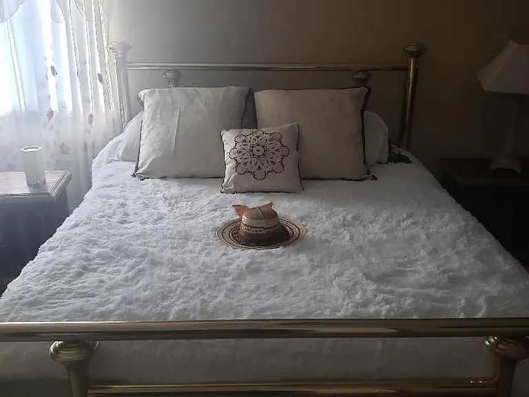 Master Bed