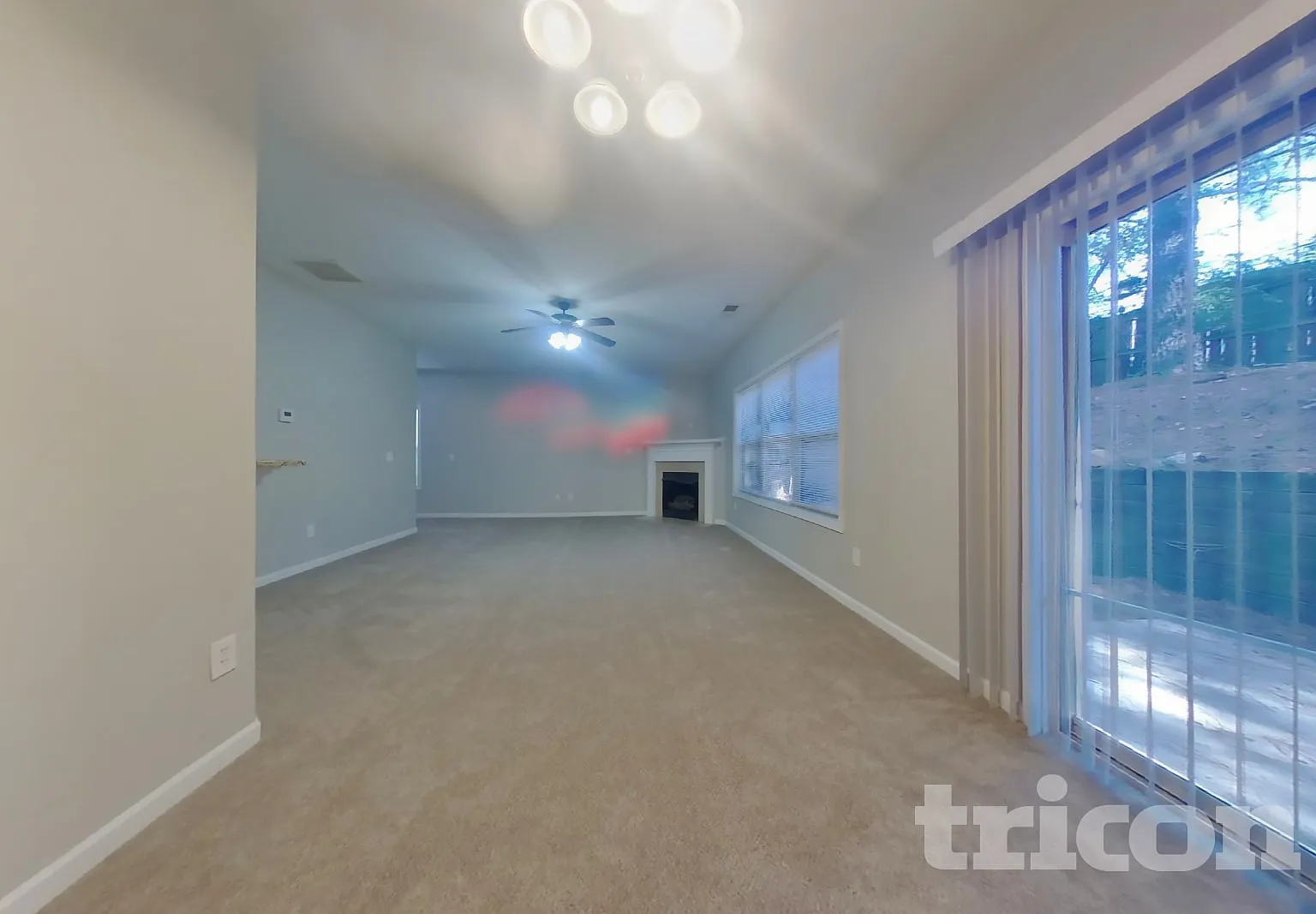 227 Bethany Manor Court Ball Ground GA — Photo 3