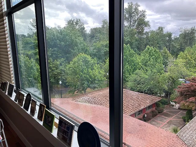 Huge windows to the ceiling.