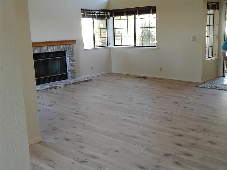 Living room with fireplace
