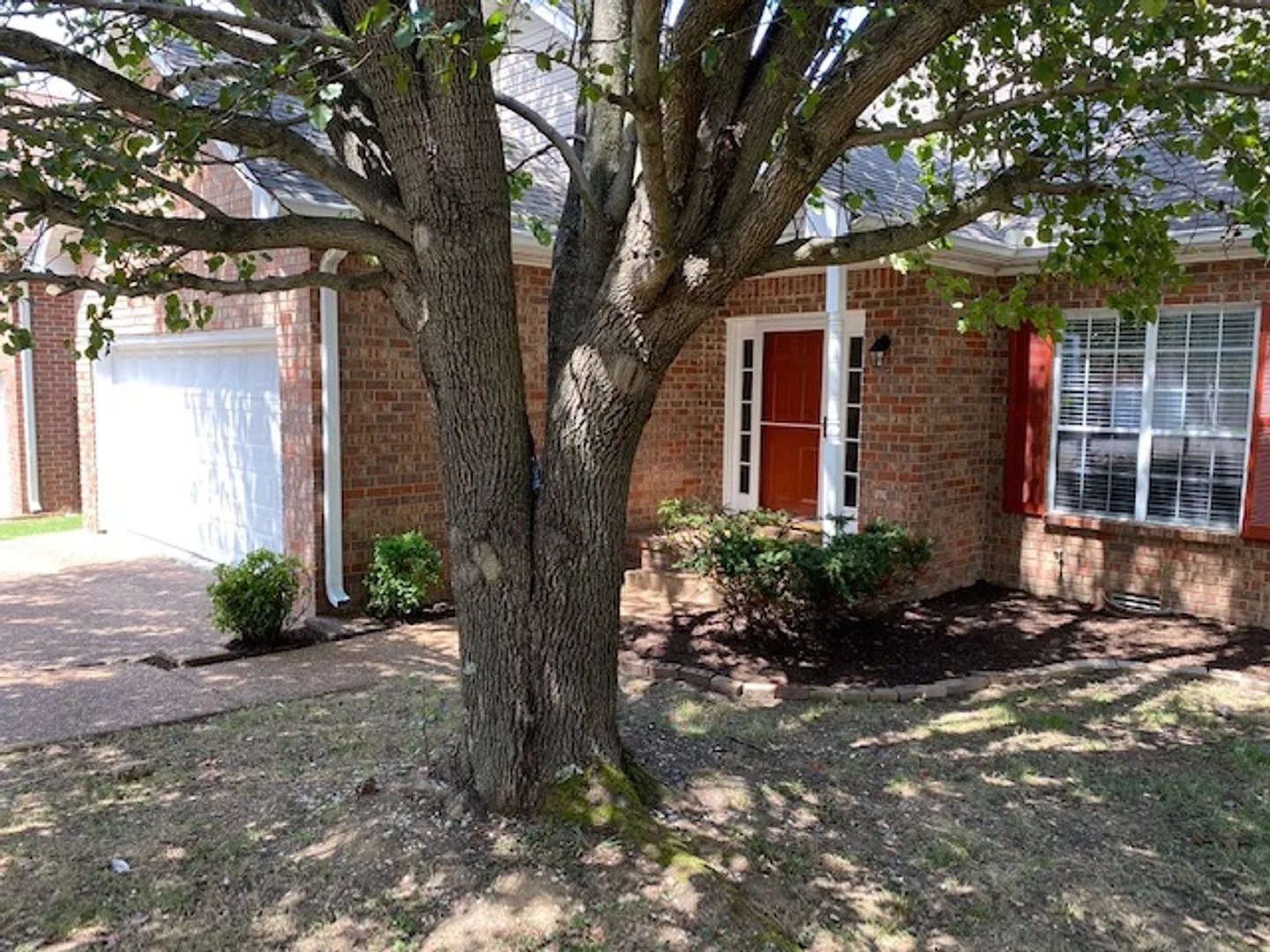 Coming Soon! Open layout with Master BR downstairs off Edmondson Pike — Photo 2