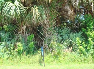 316 N 7th St, Flagler Beach, FL 32136