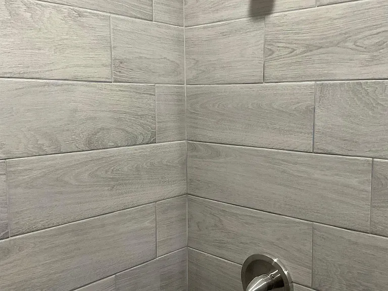 Master shower