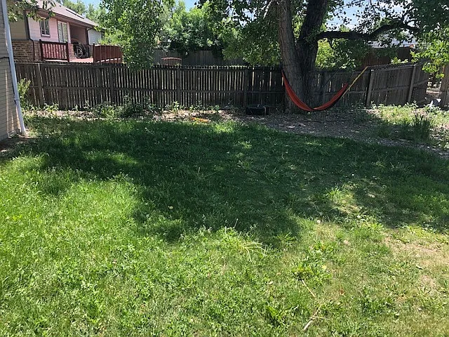 2519 Jellison St — Photo 16