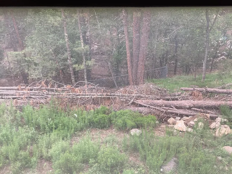 Roswell St — Photo 11