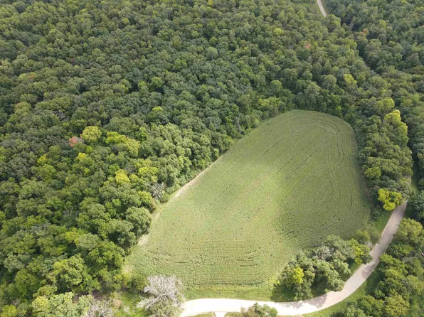 LOT 2 Fesenfeld Rd, Black Earth, WI 53515