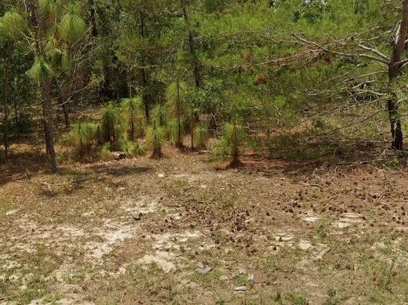 14214 SW 60th Ter Lot 12, Ocala, FL 34473