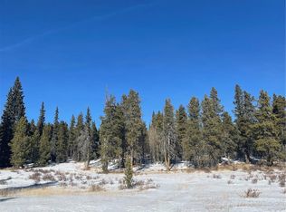 1583 Lakeside Dr #2, Alma, CO 80420