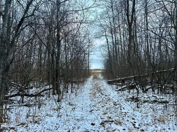 160th St NE, Thief River Falls, MN 56701