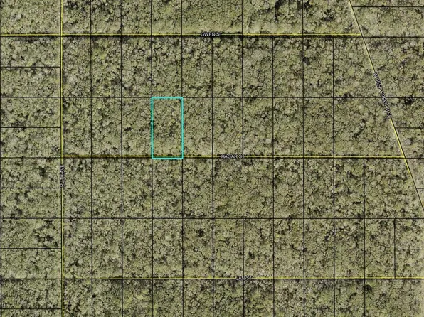 Xx Hagar St, Hastings, FL 32145