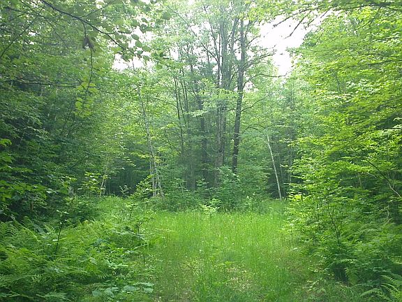 Entering south driveway.