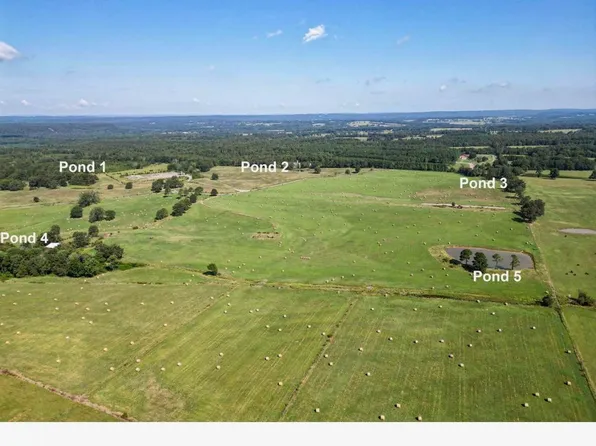 (undisclosed Address), Damascus, AR 72039