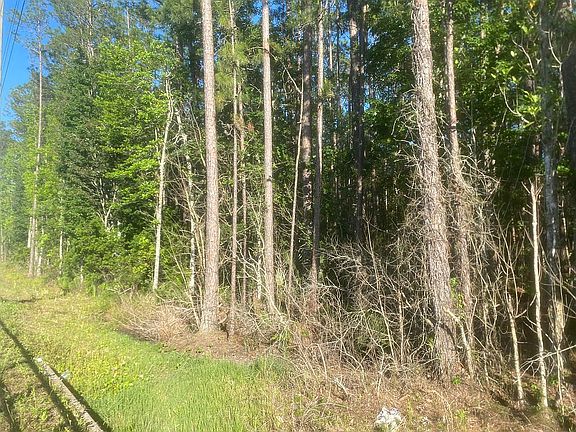 3rd image of 102 Horseman Club Rd
