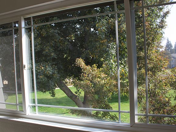 View from Master Bedroom.