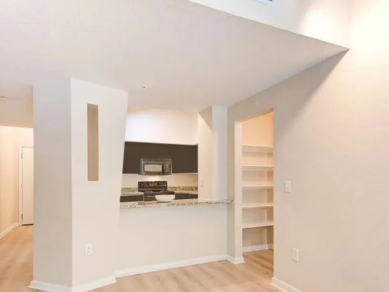 2331 W Horatio St #816 — Photo 6