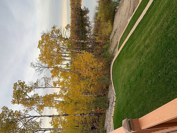 Deck View