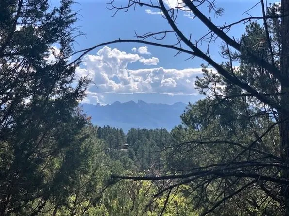 1676 Marmot Dr, Ridgway, CO 81432