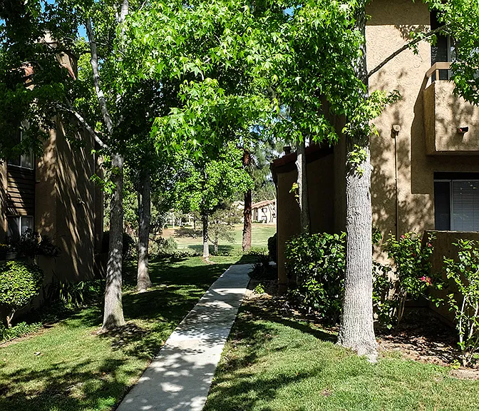 Shadowridge Summerwind — Photo 14
