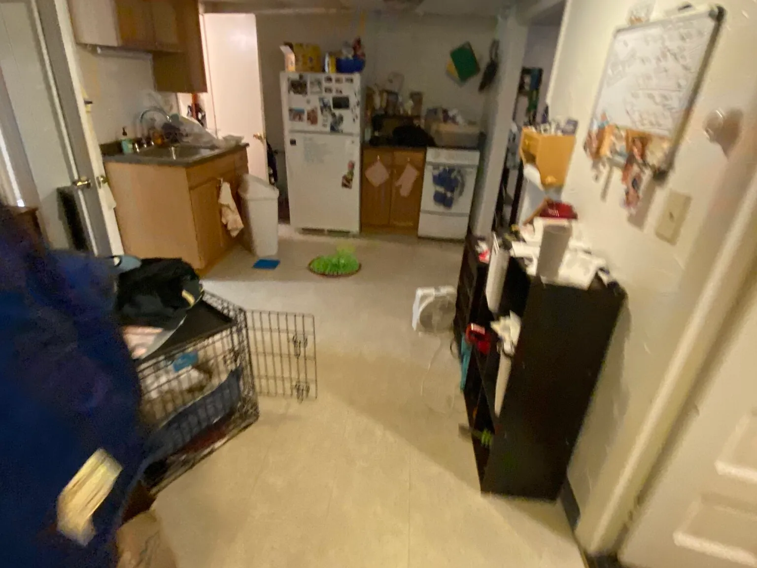 Studio, 500 sqft, $2,450 — Photo 4