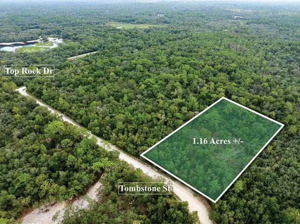 33410 Tombstone St #2, Webster, FL 33597