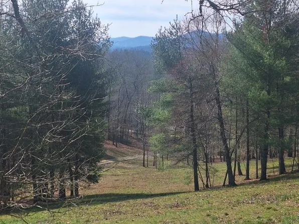 B31 Bent Wood Ln, Blue Ridge, GA 30513