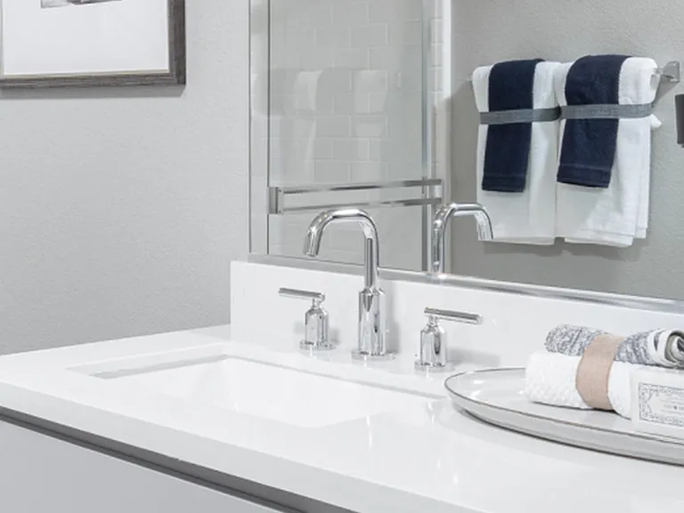 Dual Sink