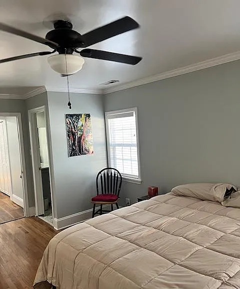 Bright and airy room