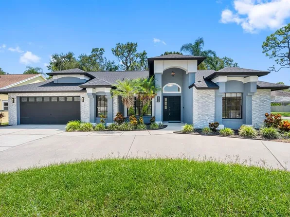 5610 Pine Bay Dr, Tampa, FL 33625