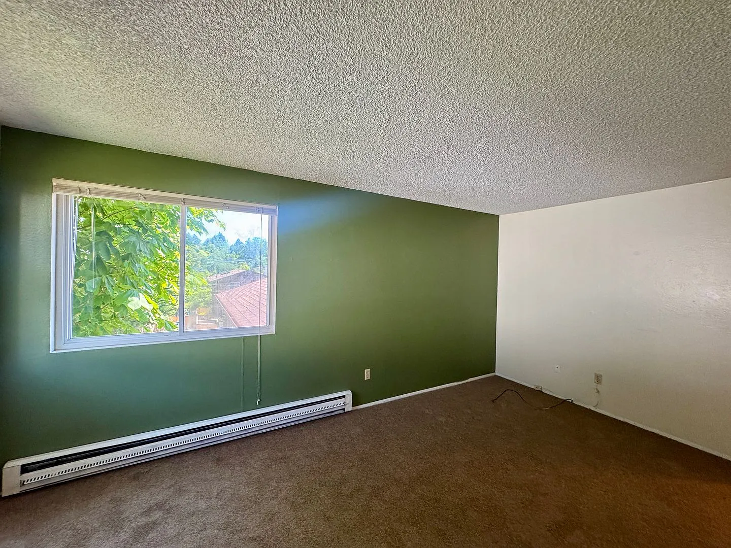 129 Hs McDowell — Photo 4