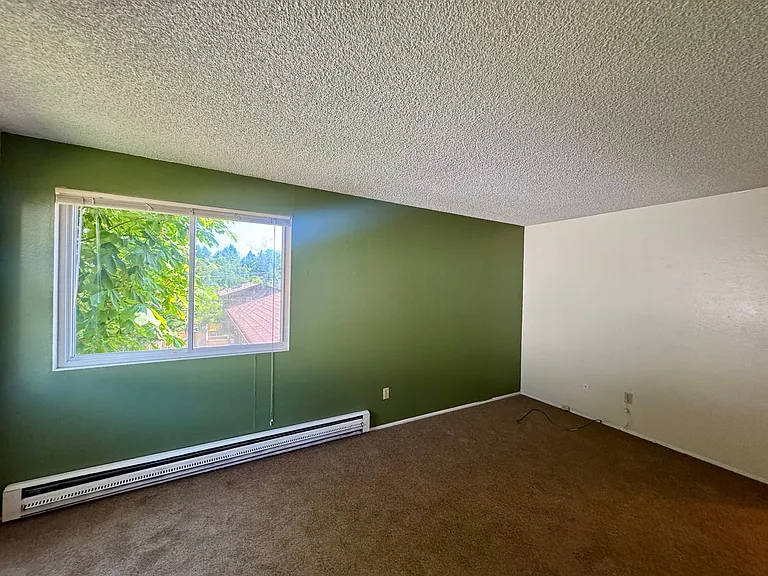 129 Hs McDowell — Photo 4