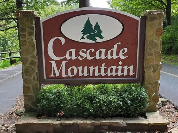 0 Chestnut Ridge Trl, Fancy Gap, VA 24328