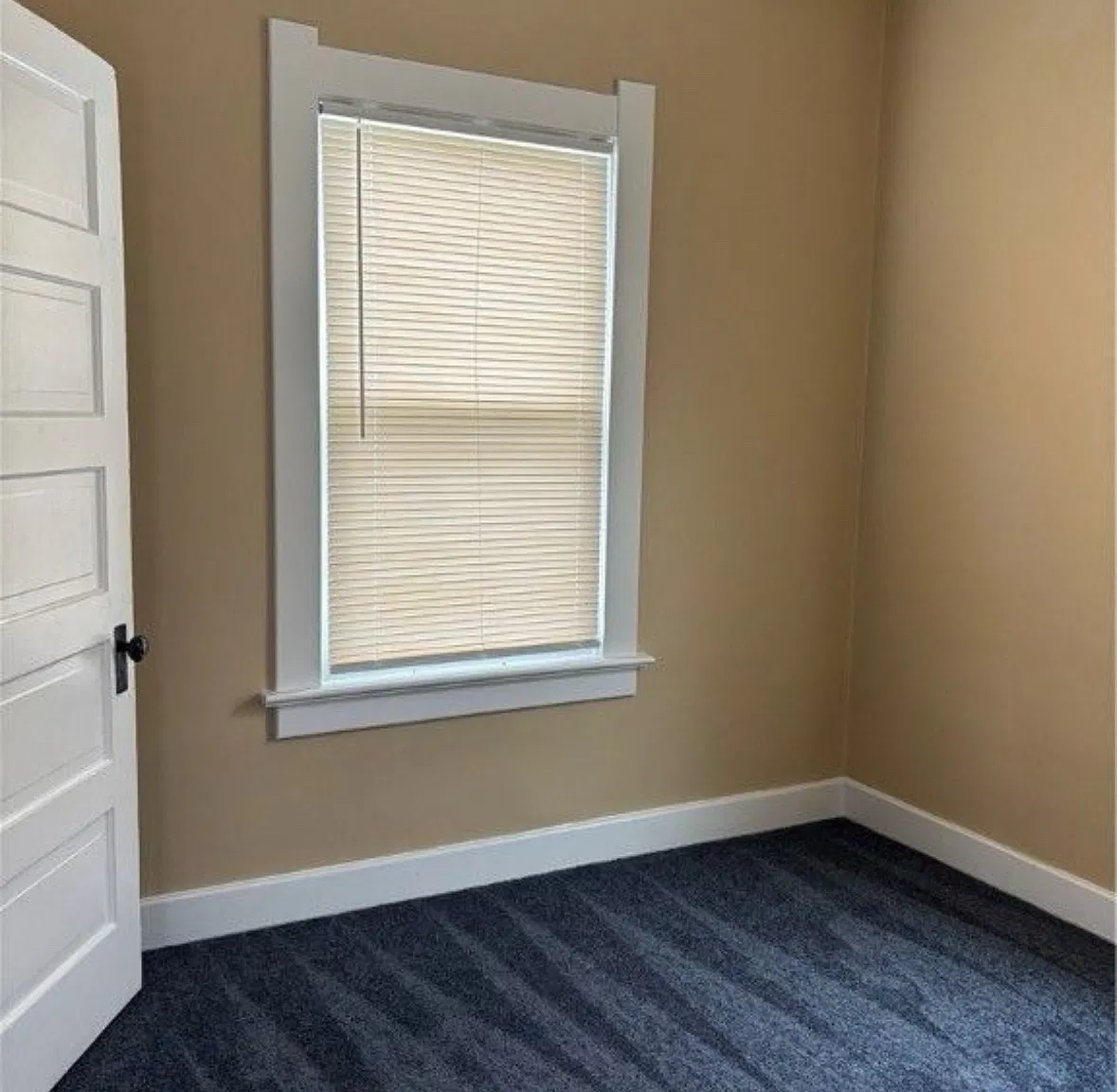 146 Walnut St — Photo 4