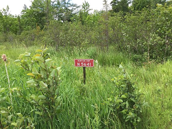 5th image of N5641 Pike Lake Grade