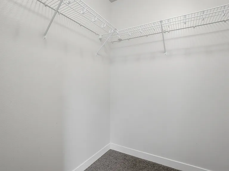 59 Whitechapel Dr — Photo 18