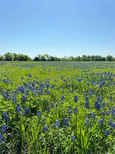 Fm 308, Penelope, TX, 76676