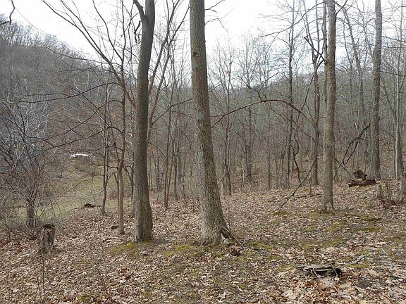 3rd image of 24503 Livingston Road