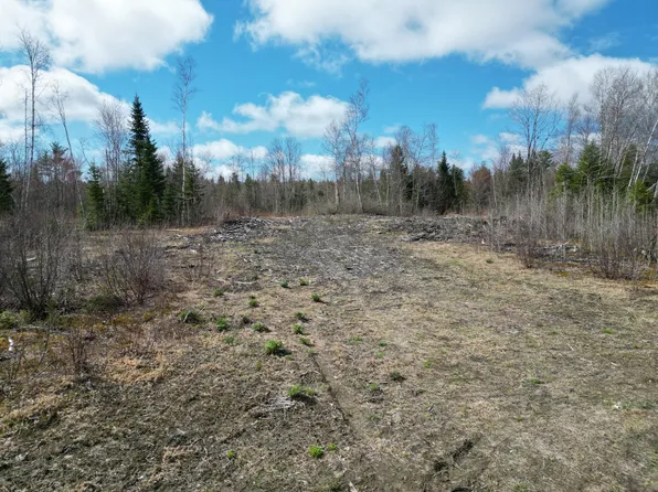 Lot 46I-2 Merriman Road, Island Falls, ME 04747