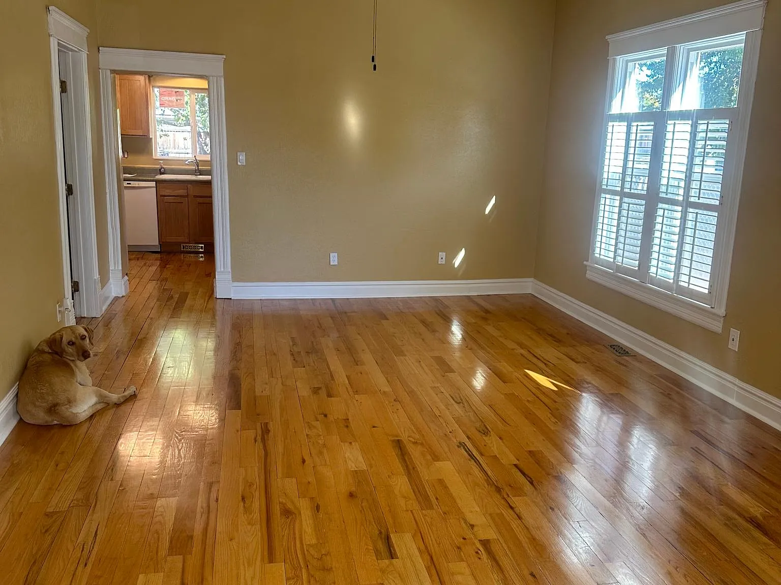 2 bed, 900 sqft, $1,200 — Photo 4
