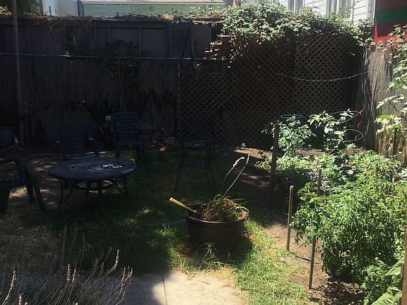 Backyard Shared