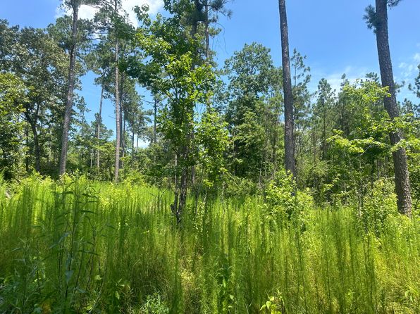 Ouachita Road 24/east Of Ouachita Rd #75, Chidester, AR 71726