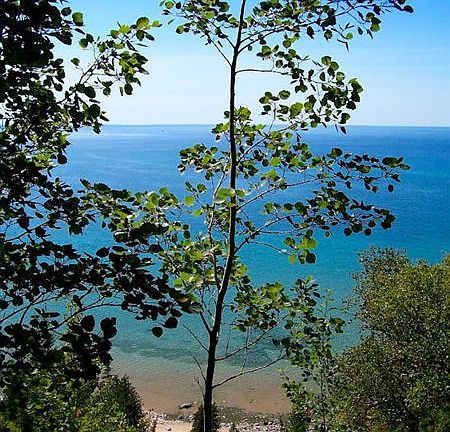 View from Deck