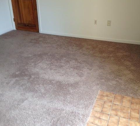 5th image of 402 Jenna Ln