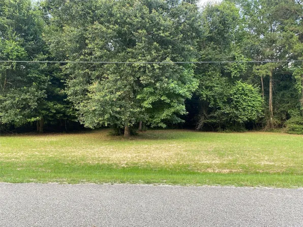 2302 E Blue Lake Dr, Magnolia, TX 77354