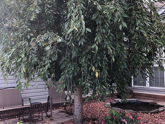 Sitting area with small pond