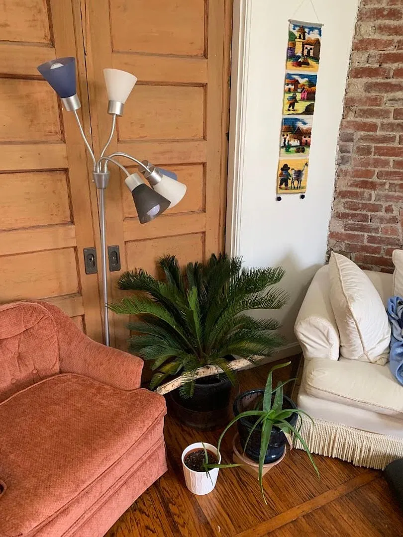 514 Ivy Street — Photo 4
