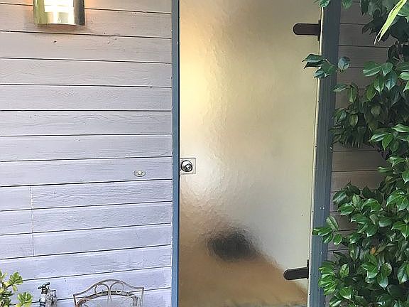 Art nouveau front door