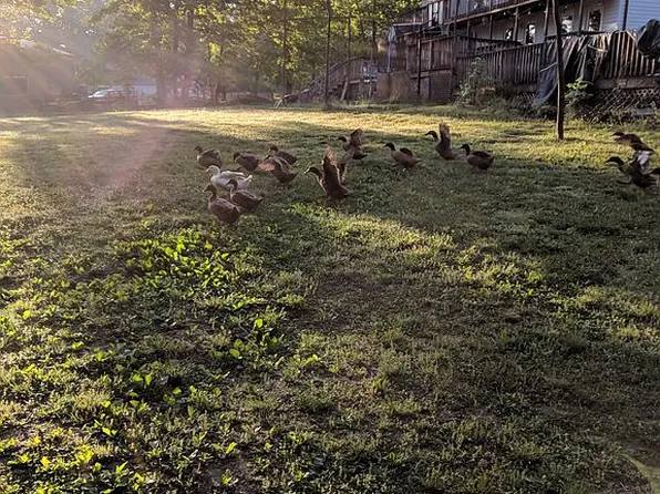 28 Cardinal Dr, Fredericksburg, VA 22406